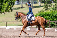 CCN1* Dressage