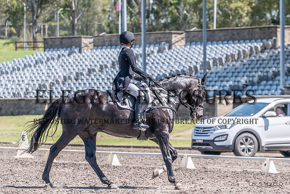 OLS_4622