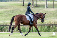 OLS_5391