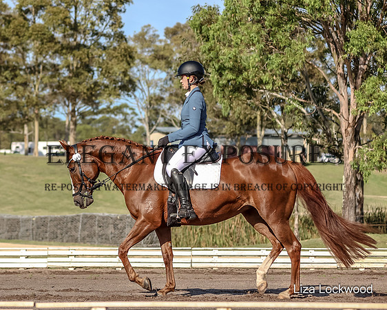 LHL (MG)-7861