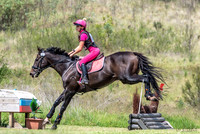 OLS_6660