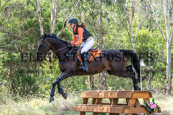 OLS_6775