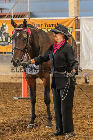 MHP_4948
