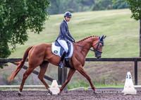 Syd EVT Sun - Dressage 80 Freshman A
