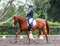 Syd EVT Sun - Dressage 80 Open