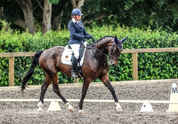 Dressage