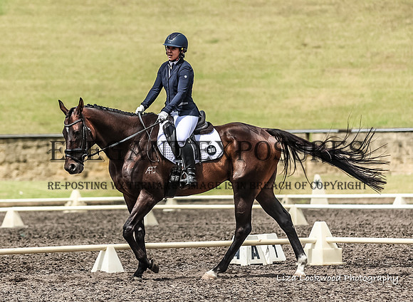 LHL(MS)-0953