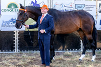 MHP_4836
