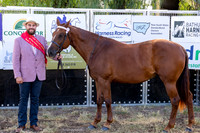 MHP_4834
