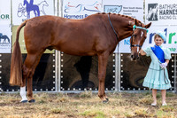 MHP_4841