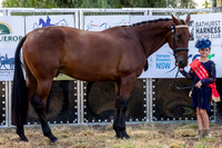 MHP_4847