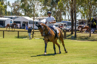 _AJG2929