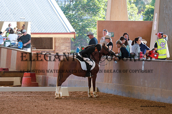 IMG_4095