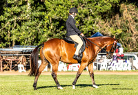 MAS_3713