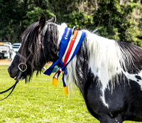 Robertson Show - Saturday 11.03.2023