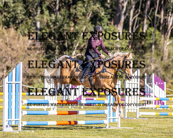KMS-5075