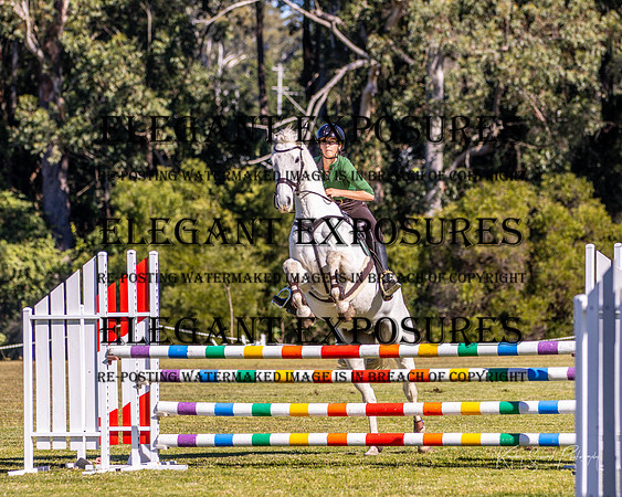 KMS-5450