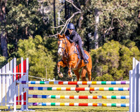 BRC-Clear Round Jumping- 25.07.2026