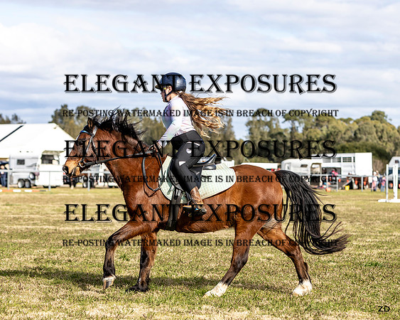 ZJD-5553