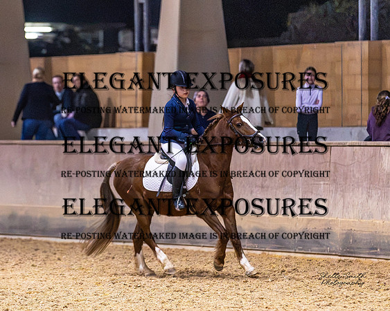 MAS-2292