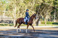 Syd EVT Sat - Dressage EvA95 A