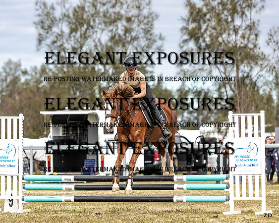 ZJD-6453