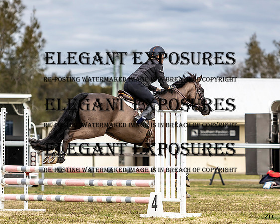 ZJD-6789