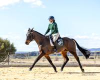 Bungendore - Winter Woolies - Dressage - 02.08.2026