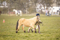 _AJG7865