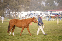 _AJG7925