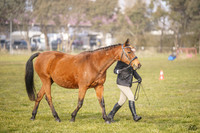 _AJG7932