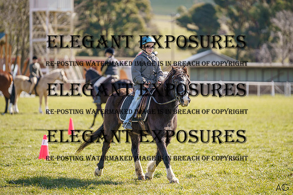 _AJG9677