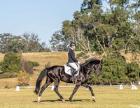 _LMW1040