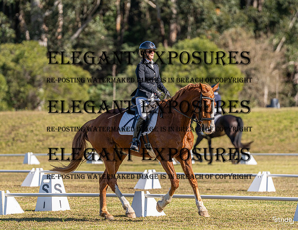 _LMW2519