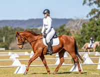 BRC - Unofficial Dressage Comp - 02.08.2026