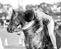 Bungendore - Winter Woolies - Show Rings - 02.08.2026