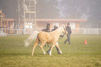 _AJG7661