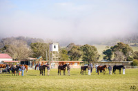 Bungendore Show - Winter Woolies 02.08.2026