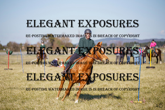_AJG8470