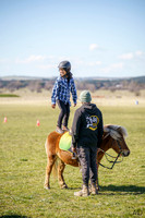 _AJG8952