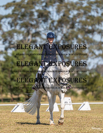 _LMW4498