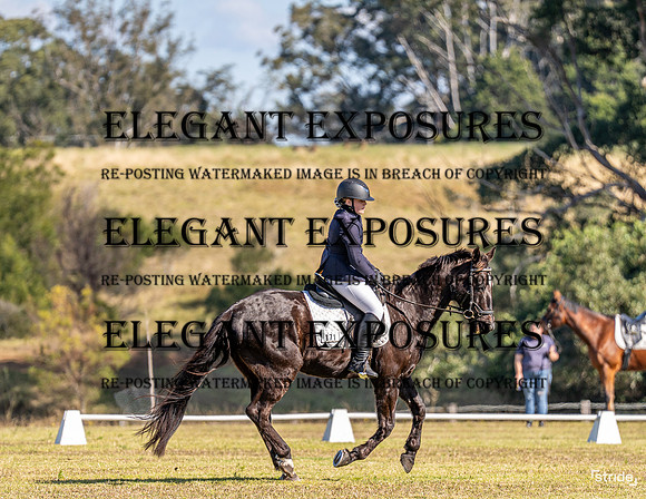 _LMW4437
