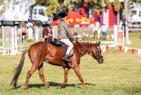 OLS_7412