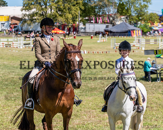 OLS_8170