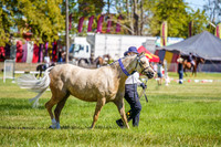 _AJG5207
