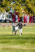 _AJG5223