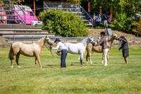_AJG5265