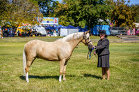 _AJG5270