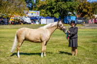 _AJG5273