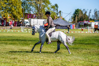_AJG5286